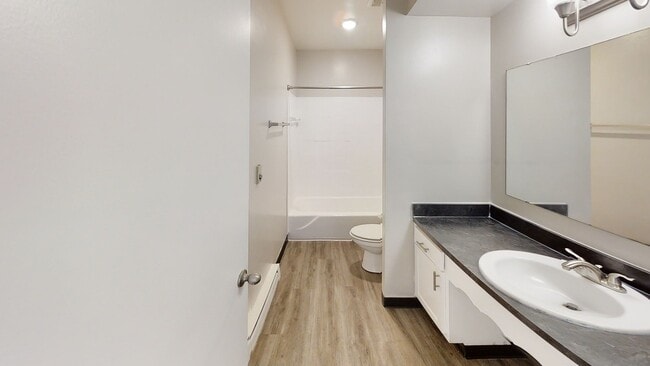 Modern and inviting bathroom featuring a sleek vanity, large mirror, and wood-style flooring.