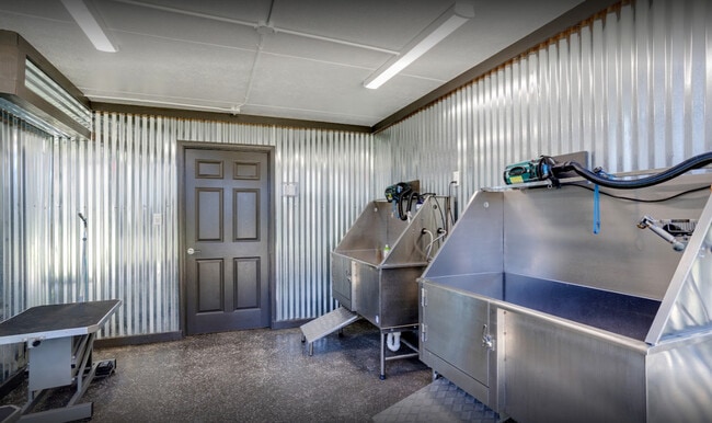 Photo - Canyon & Knox Landing