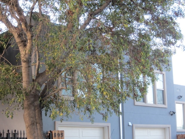 Photo - 5630 Market St Unit A