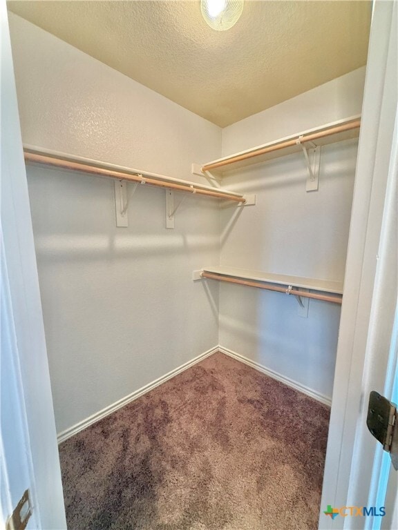 Building Photo - 2409 Vernice Dr Rental
