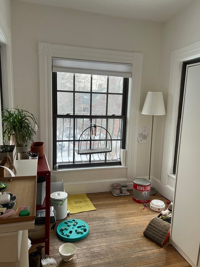 Building Photo - 10 Trowbridge St Unit 2