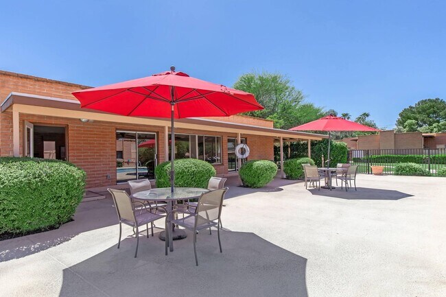 Photo - Camino De La Sierra