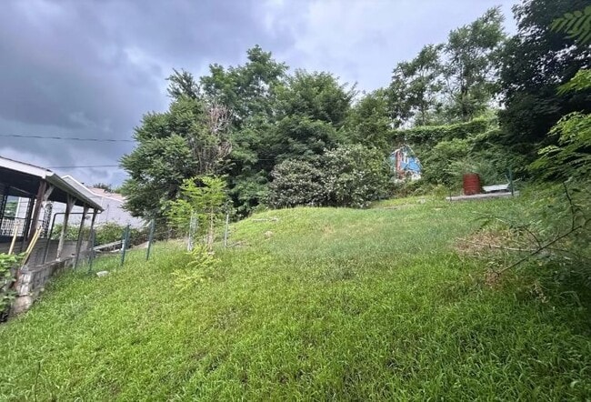 Photo - 19 Bellevue St