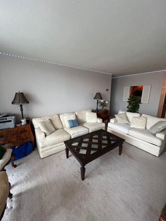 Living room - 100 West Ave Unit D28