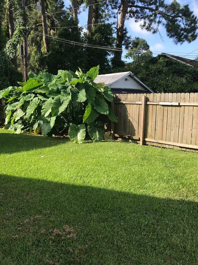 Photo - 806 E University Ave Unidad 806