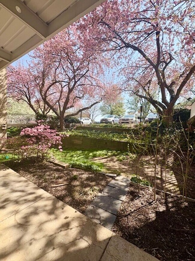 Photo - Remodeled 2 BR 1BA in Bethesda. Private front patio. Most utilities included.