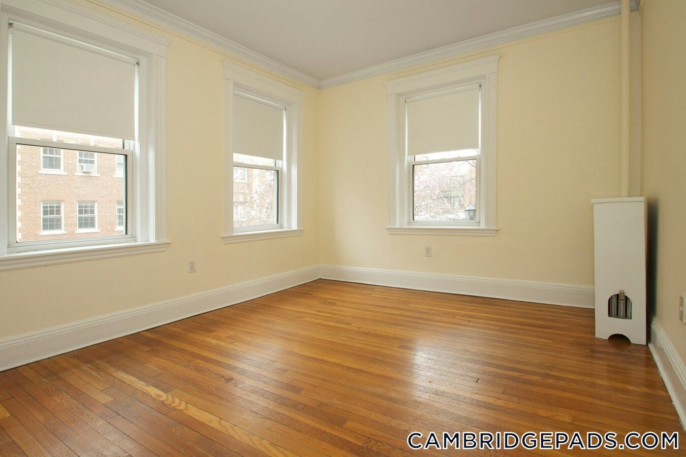 Photo - 18 Chauncy St Apartment Unit 11