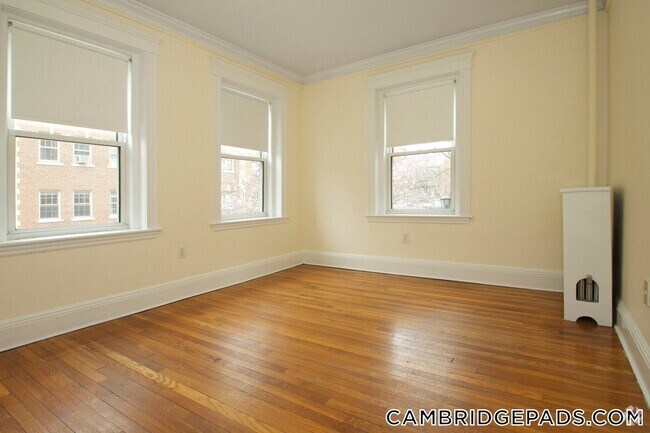Building Photo - 18 Chauncy St Rental