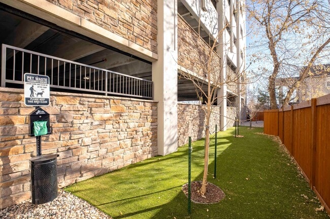 Photo - Union on Plum