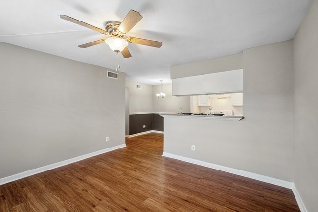 Pearland Village