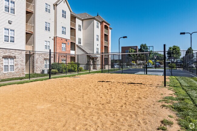 Sand Volleyball