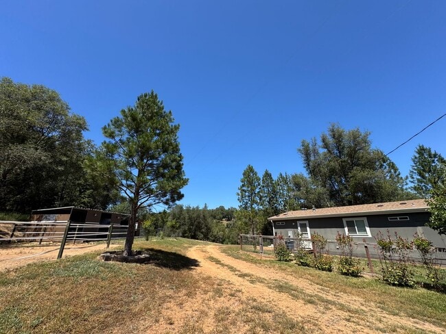 Photo - Farm cottage available!