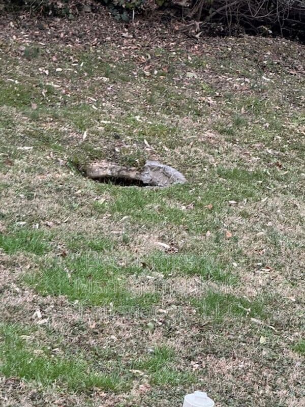 Photo - 223 Vreeland St