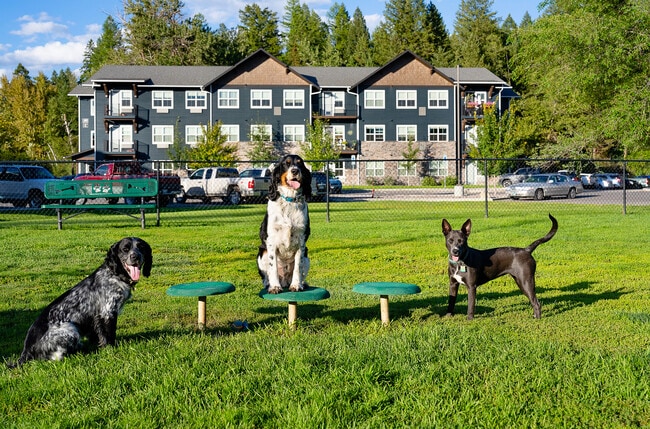 Pet friendly community - The Highline Apartments