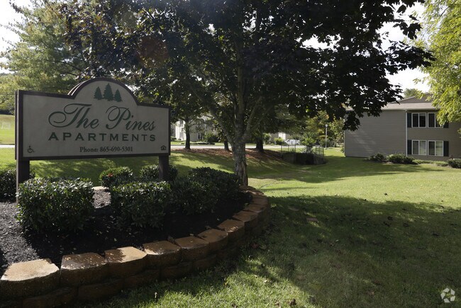 Pines Apartments - Pines Apartments