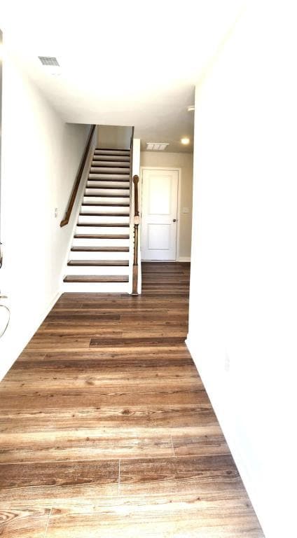 Photo - 1774 Night Sky Trl