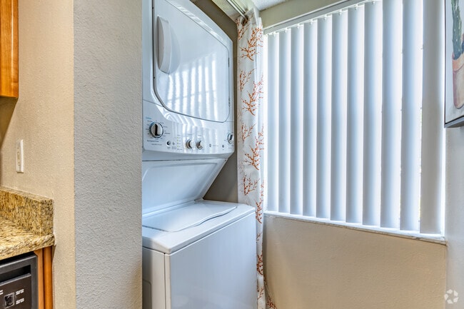 Palm A - Laundry