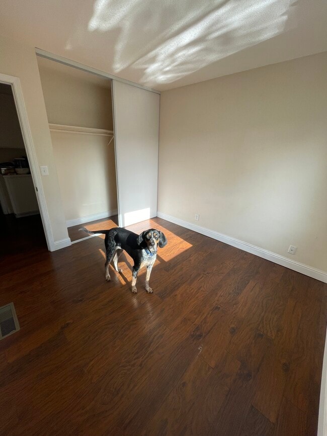 Photo - 4412 Pitch Pine Ct