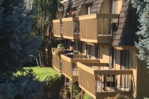 Photo - Pacific Village Apartments