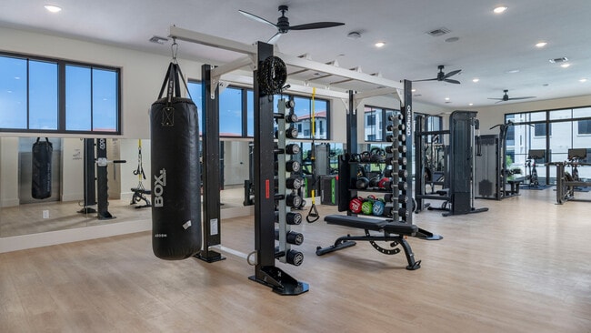 Photo - Alexan Kendall