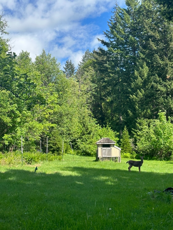 Photo - 1002 Jessup Rd Unit Cozy