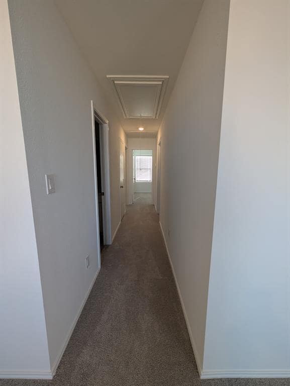 Photo - 635 Whoopers Lp