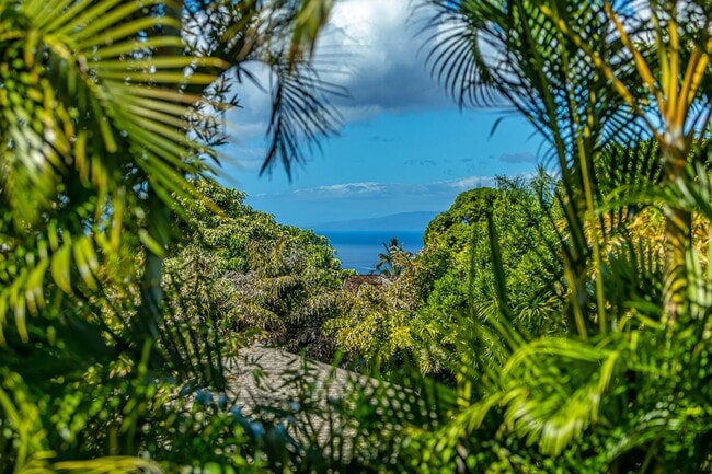 Photo - Brand New Tropical Private Maui Meadows Cottage Ocean View and Pool - Utilities Included