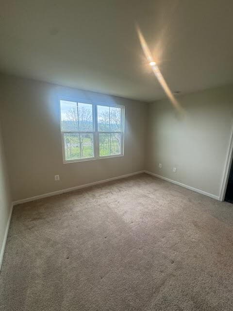 Photo - 107 Williams St