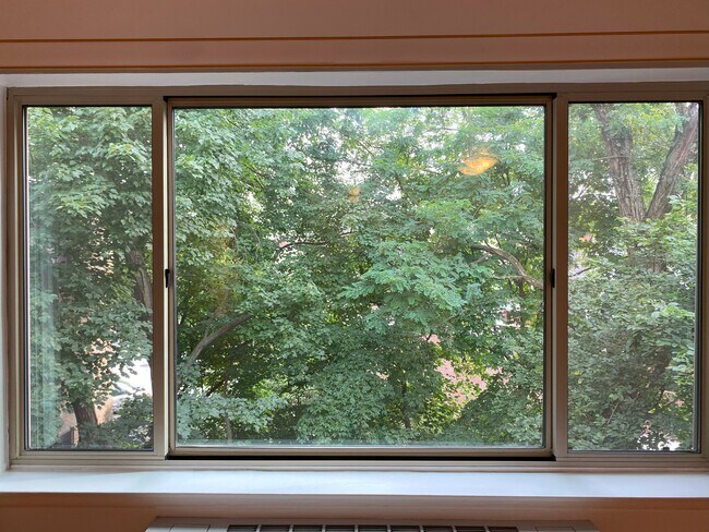 View from Living Area - 2755 Ordway St NW Unit 511