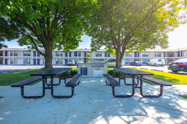 Área de parrilla y pícnic - The Ascent1555