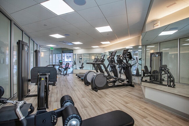 The Metro Fitness Center Cardio Room