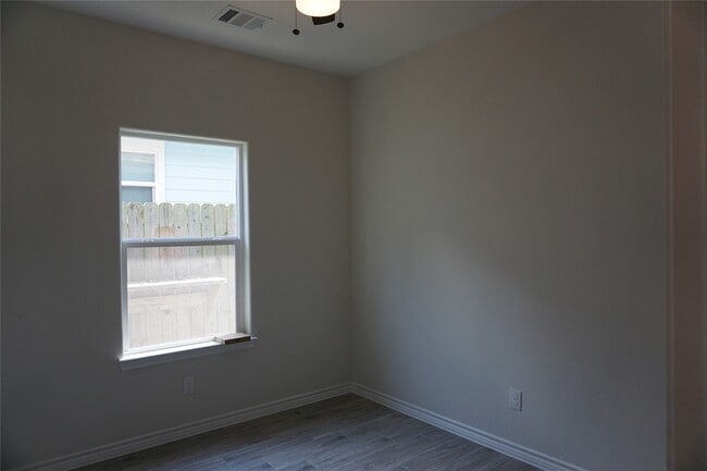 Photo - 9761 Black Gum