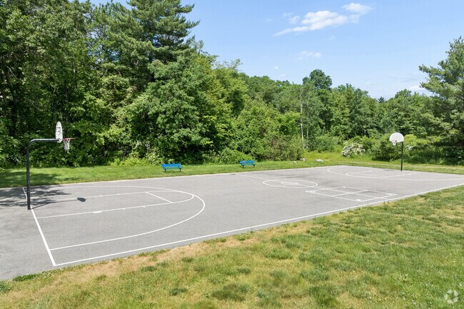 Basketball Court