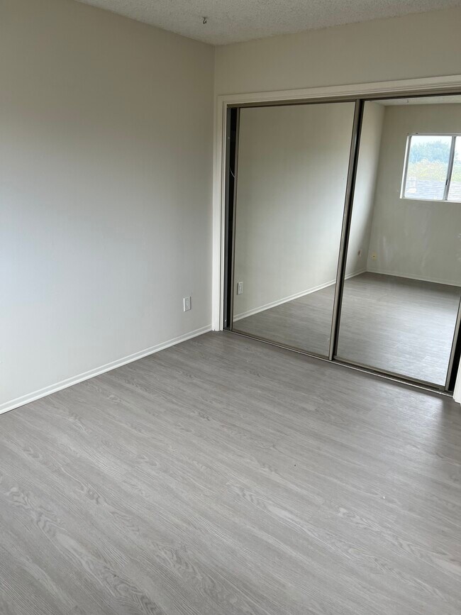 Photo - Sherman: 331 Eucalyptus