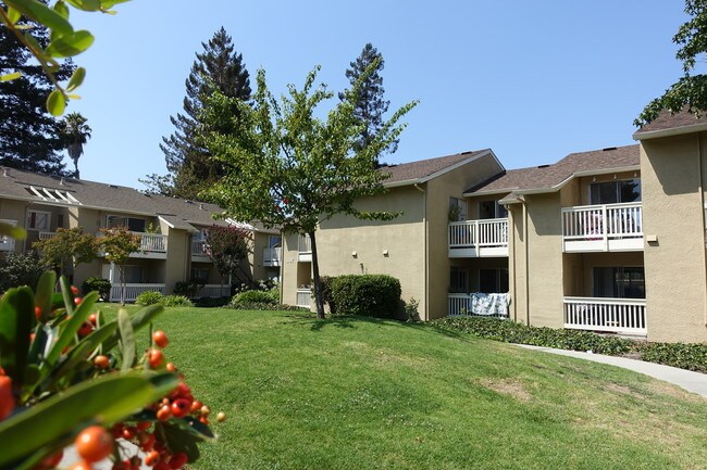 Photo - Miramar Plaza Apartments