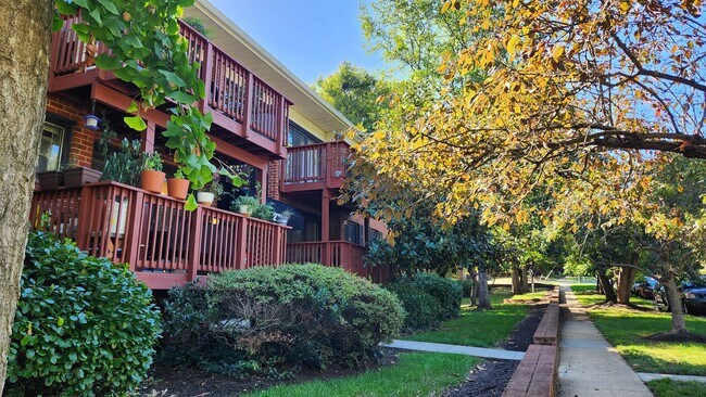 Building Photo - Affordable 2BR close to King St Metro Unit 8