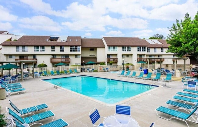 Photo - Spacious and Comfortable Condo - A/C - Central Location - Great Amenities - Natural Light