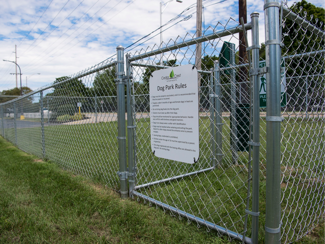 Dog Park
