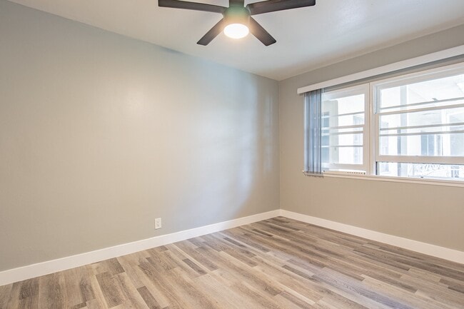 Photo - Woodman - Donovan