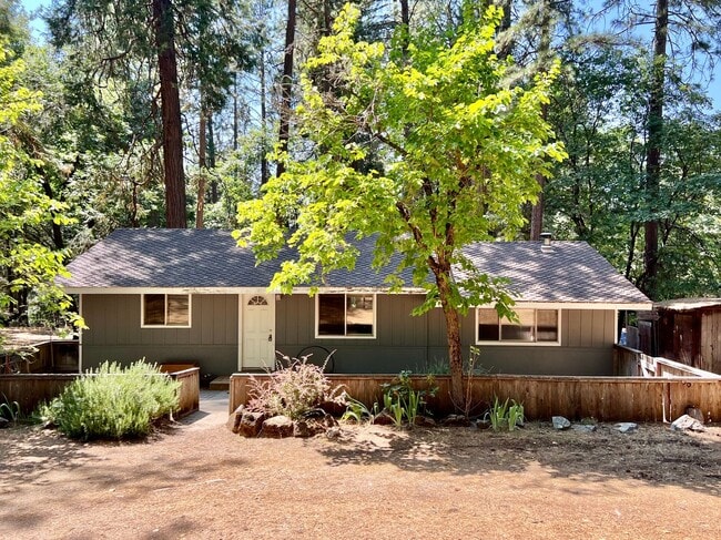 Remodeled Home in Lower Pioneer - Remodeled Home in Lower Pioneer