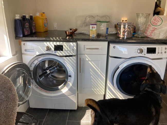 Photo - 16 Dorothy St