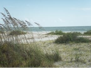 Photo - 1389-1399 Tahiti Dr