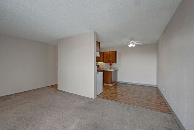 Photo - Cedar Gardens