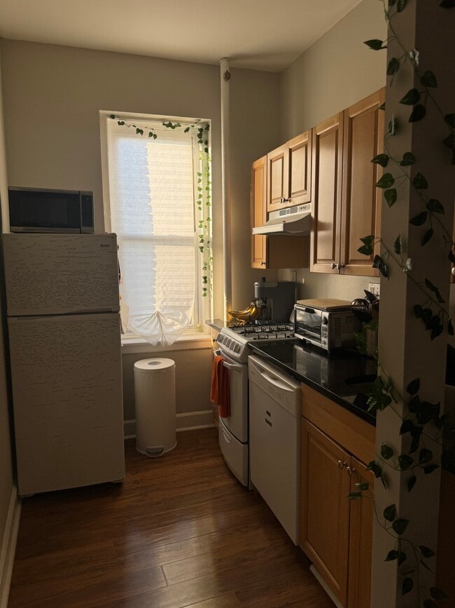 Building Photo - 1197 Commonwealth Ave Unit 24