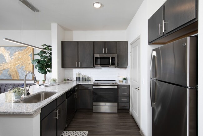 The Luxe at Cedar Hill 55+ Active Adult