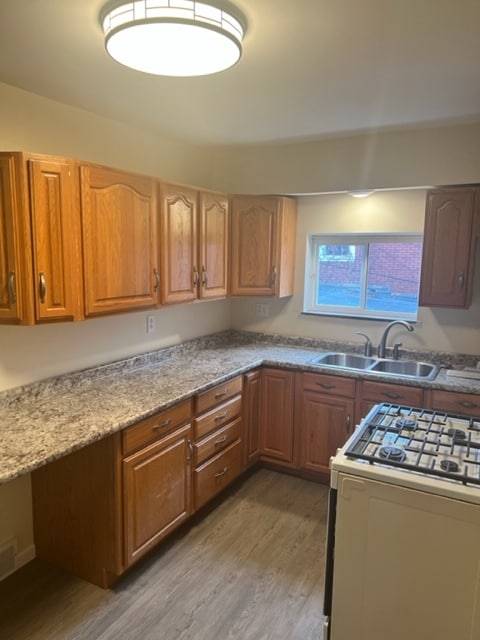 Photo - 716 Maplewood Ave
