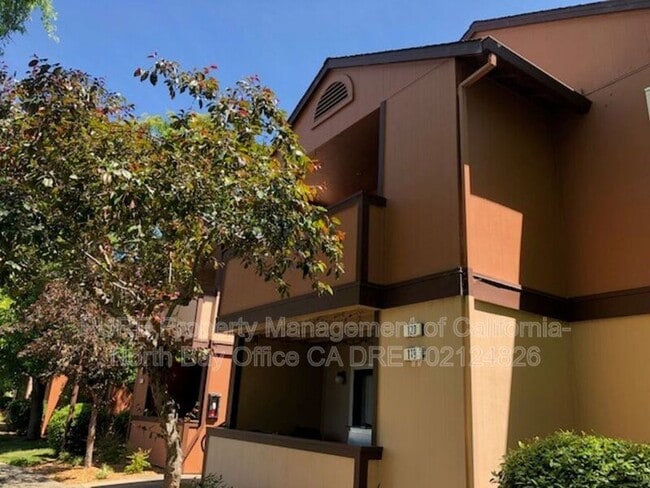 Building Photo - 8201 Camino Colegio Rental