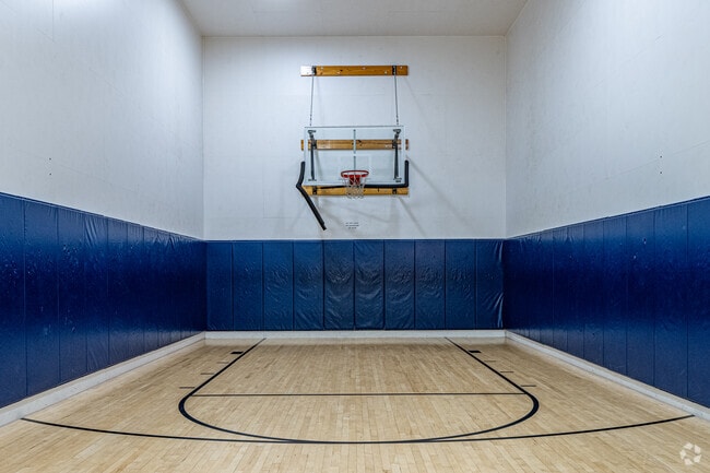 Basketball Court