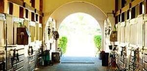 Photo - 4554 Palm Breeze Trail