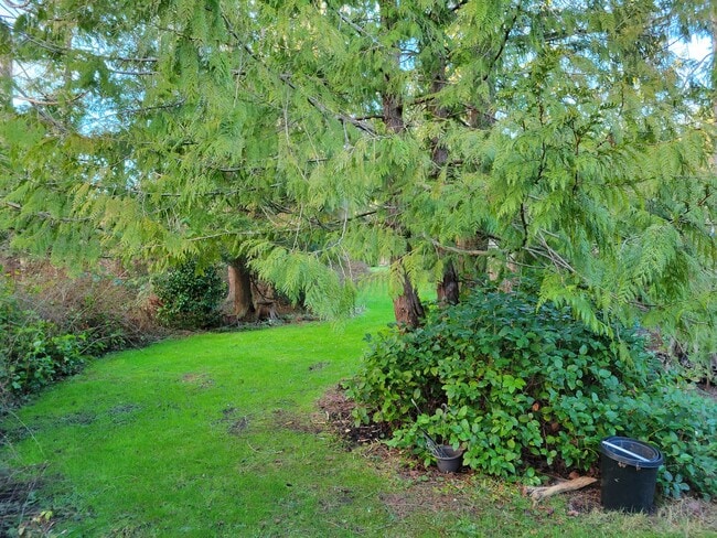 Photo - Smitty's RV Park